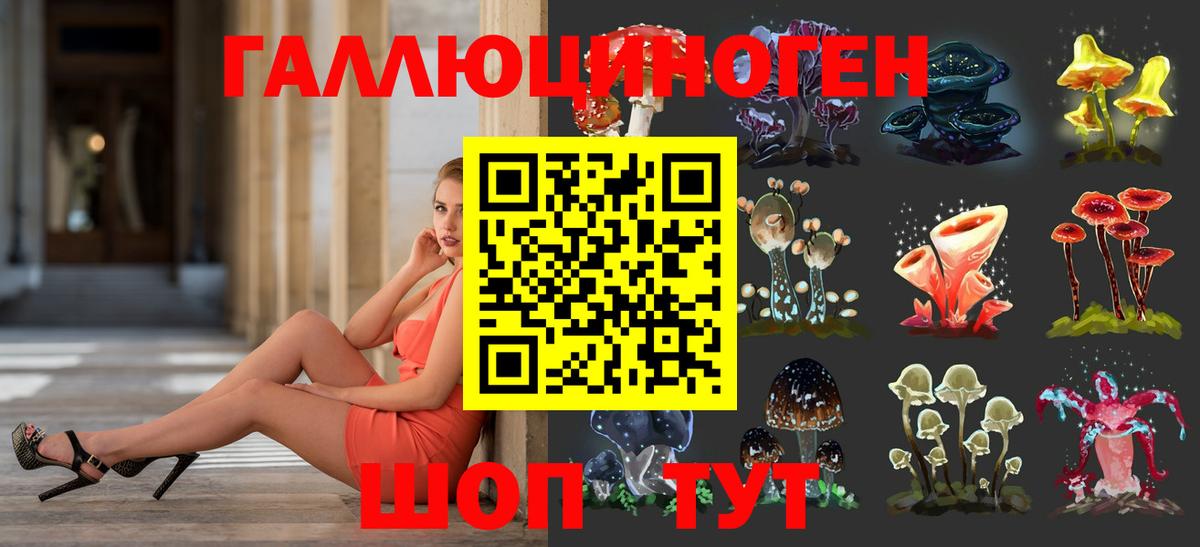 Знаменск  Галлюциногенные грибы Psilocybine cubensis  Галлюциногенные грибы мицелий  Вход с VPN 