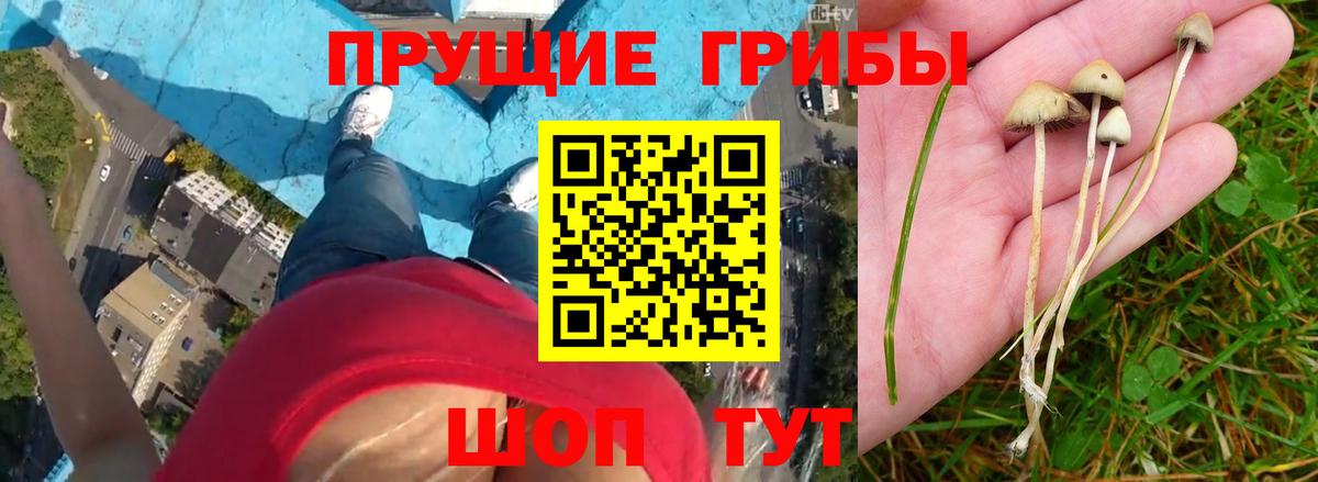 Alpha-PVP Знаменск